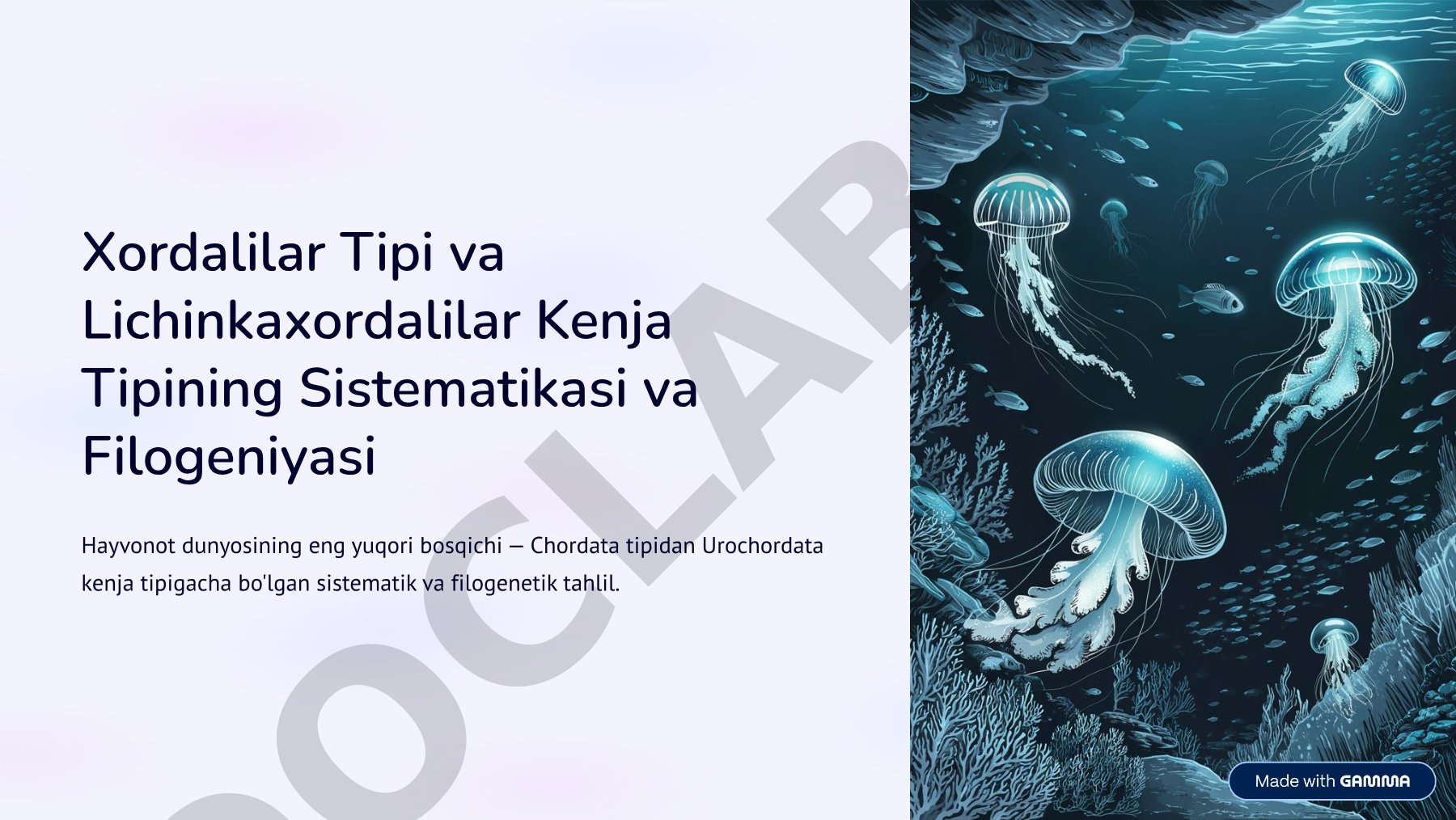 Xordalilar tipi va lichinkaxordalilar kenja tipining sistematikasi va filogeniyasi