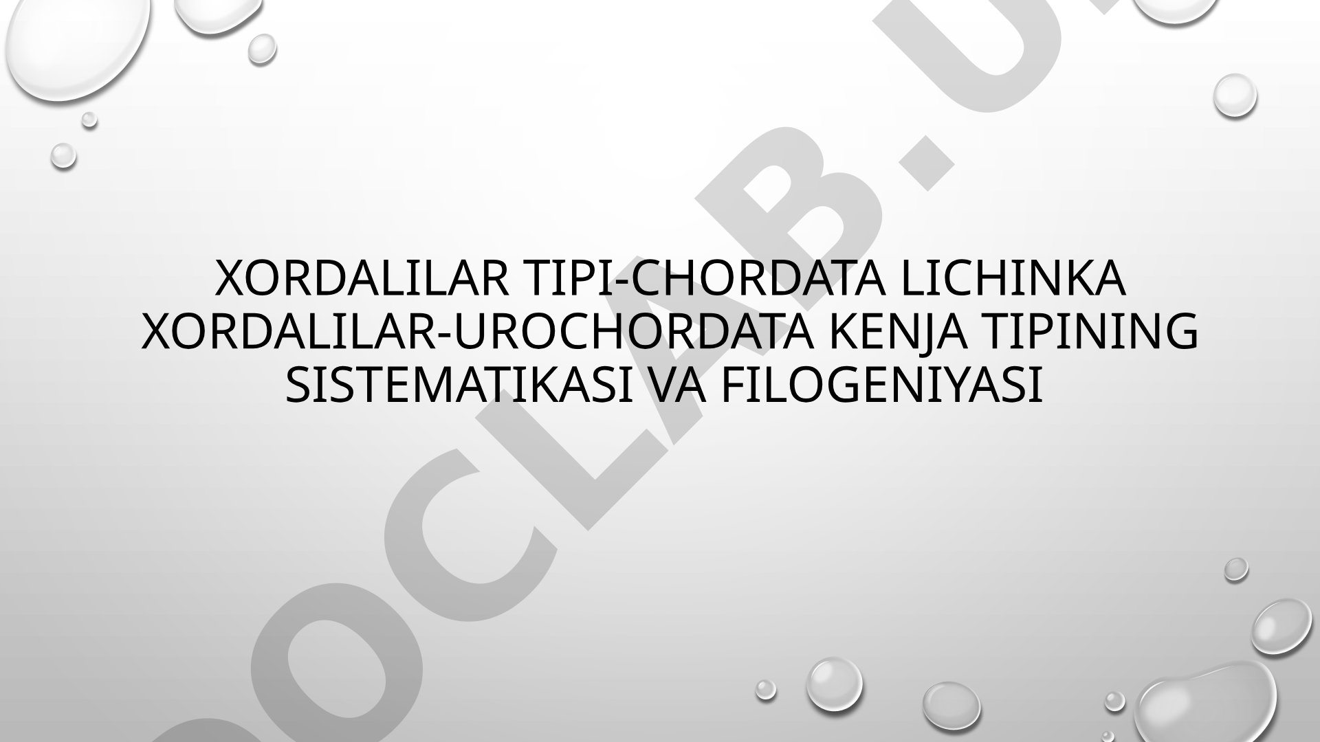 Xordalilar tipi-Chordata Lichinka xordalilar-Urochordata kenja tipining sistematikasi va filogeniyasi