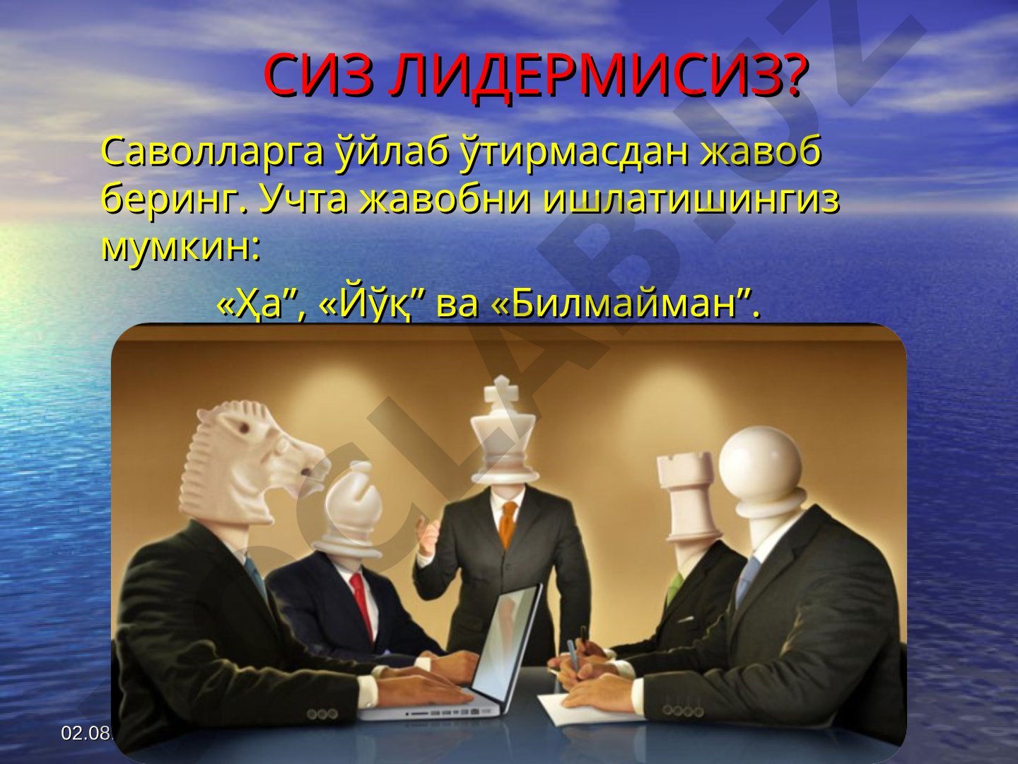 СИЗ ЛИДЕРМИСИЗ?