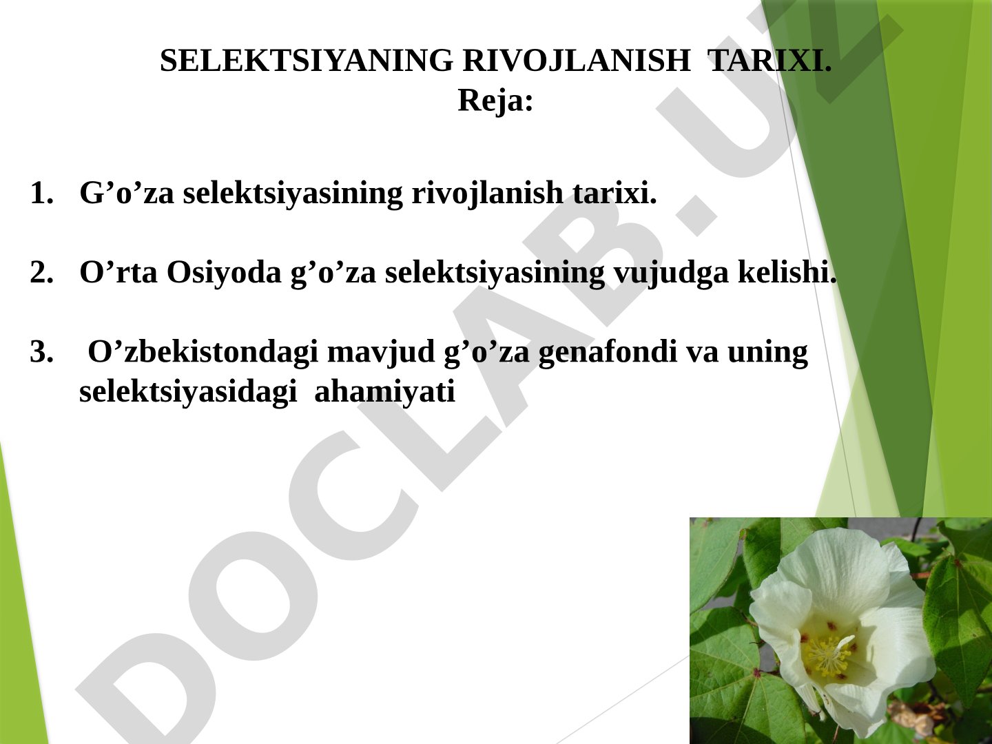 G'o'za selektsiyasi rivojlanishi, O'rta Osiyo genafondi, to'rt bosqich