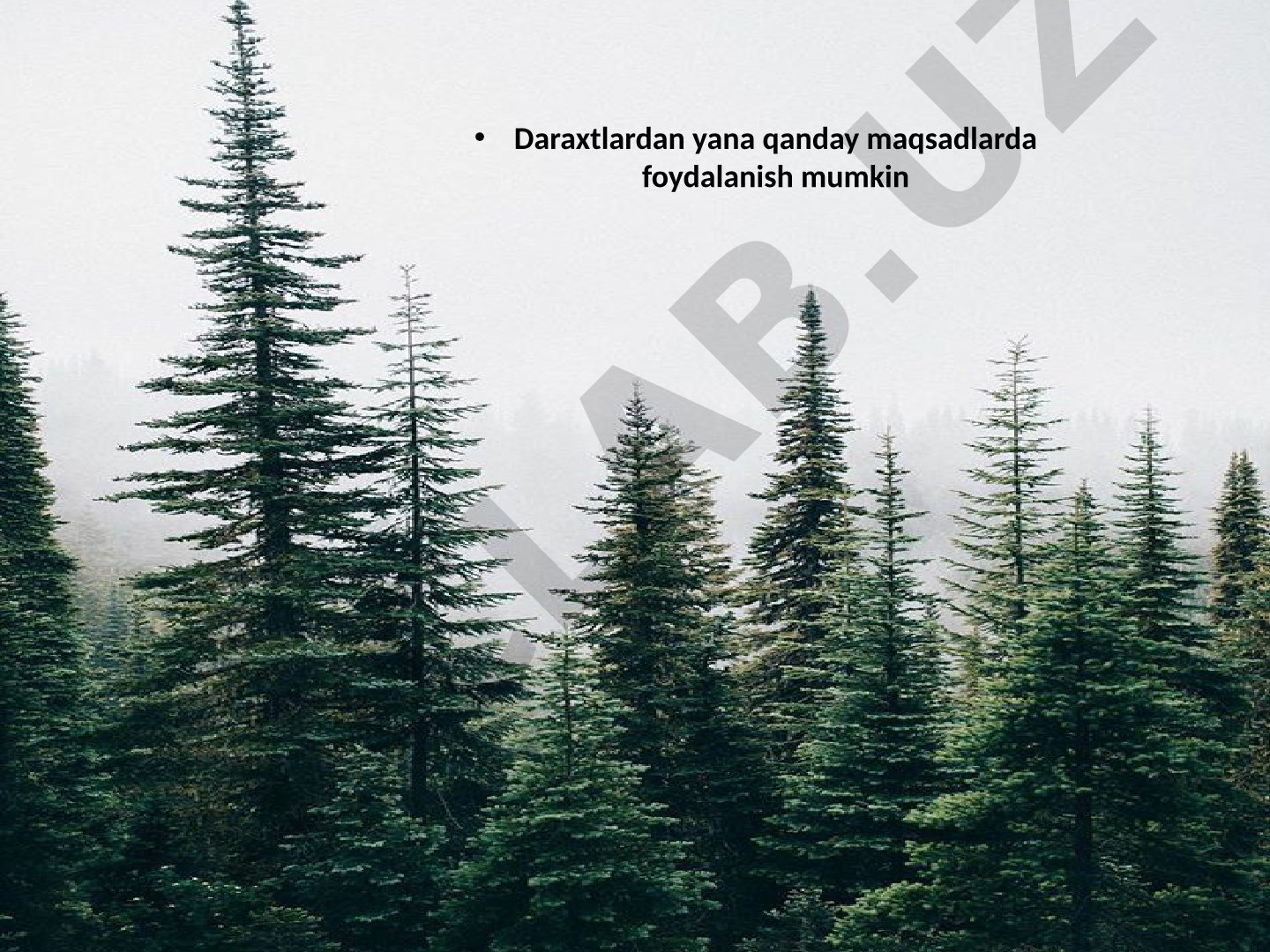 Daraxtlardan yana qanday maqsadlarda foydalanish mumkin
