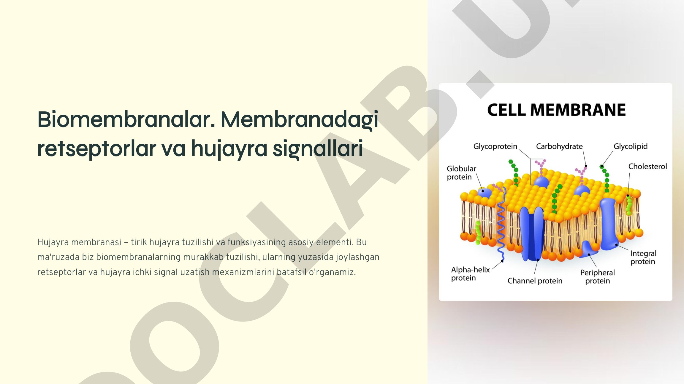 Biomembranalar, membranadagi retseptorlar va hujayra signallari