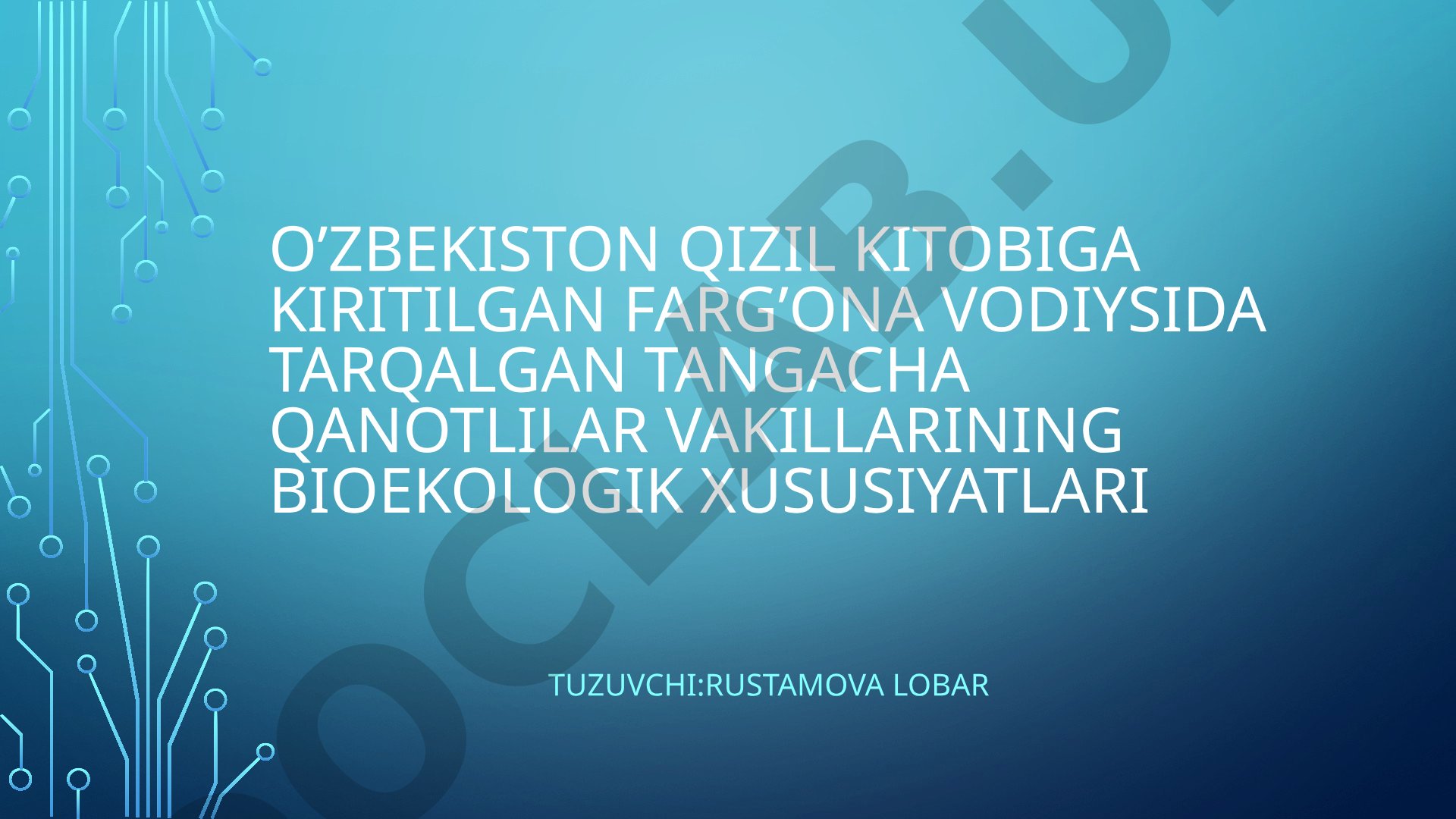 O‘zbekiston Qizil kitobiga kiritilgan Farg‘ona vodiysida tarqalgan tangacha qanotlilar vakillarining bioekologik xususiyatlari