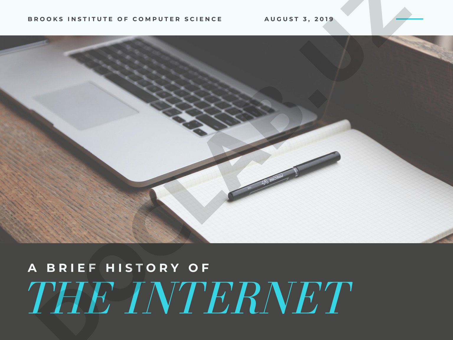 The Internet: A Brief History