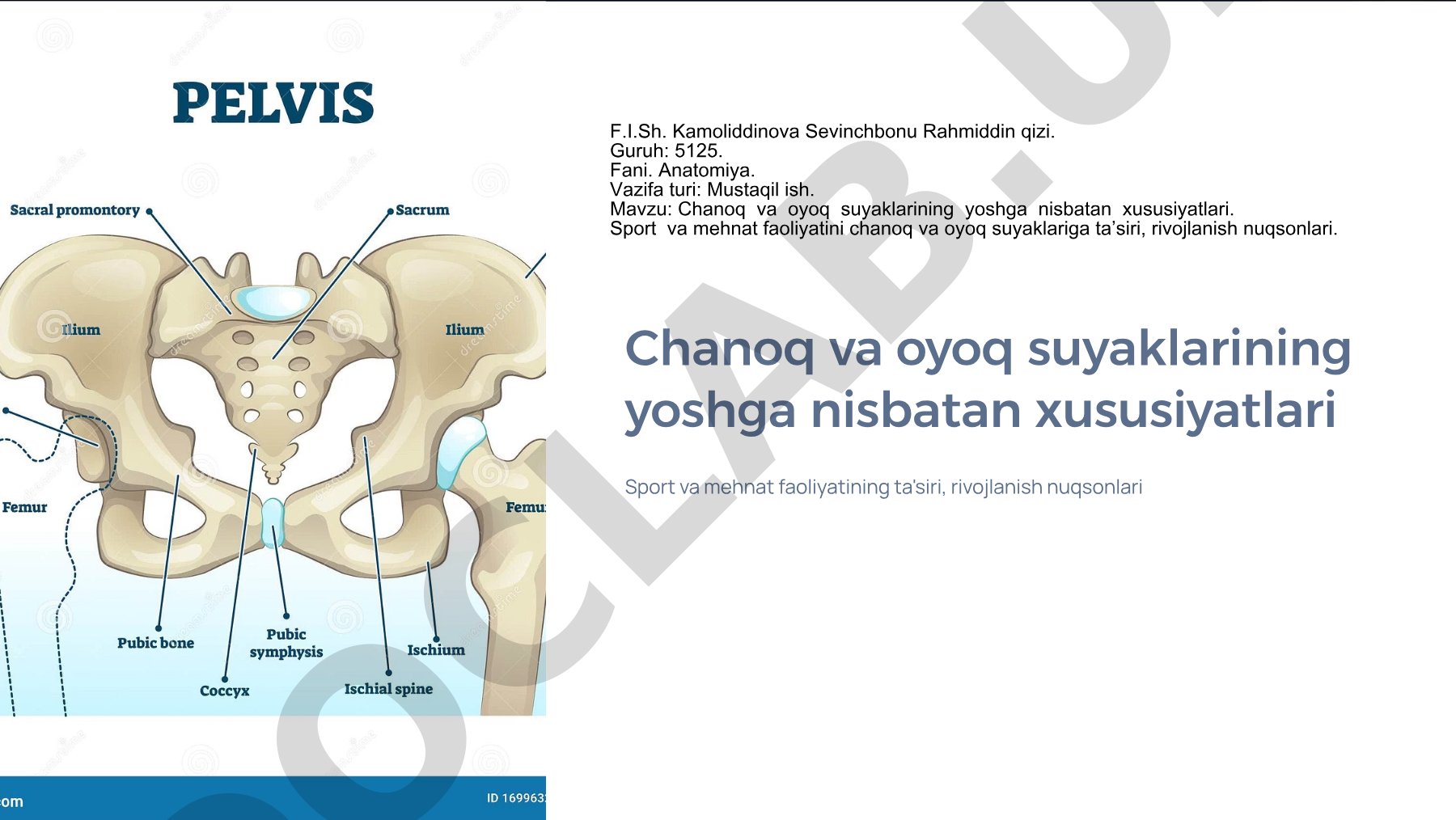 Chanoq va oyoq suyaklarining yoshga nisbatan xususiyatlari