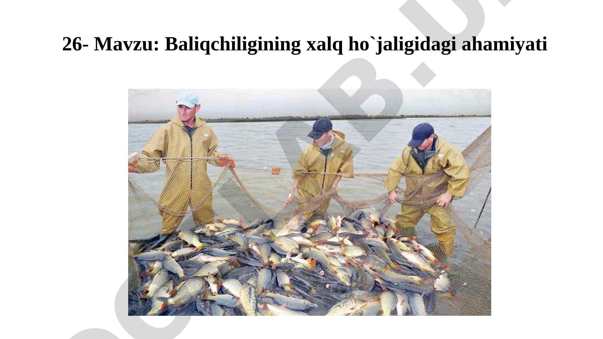 Baliqchiligining хalq ho`jaligidagi ahamiyati
