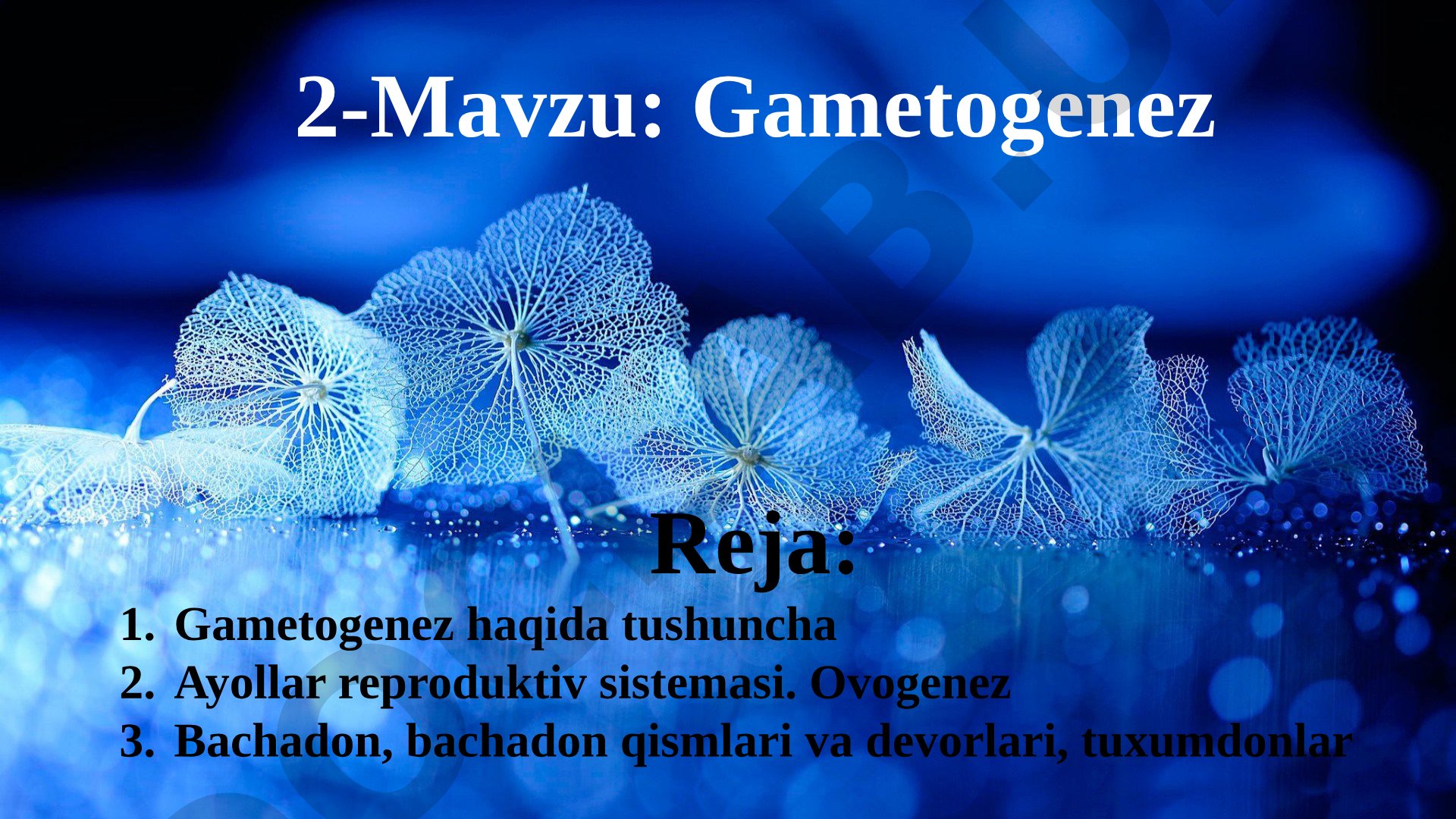 Gametogenez haqida tushuncha, ayollar reproduktiv sistemasi, ovogenez, bachadon va