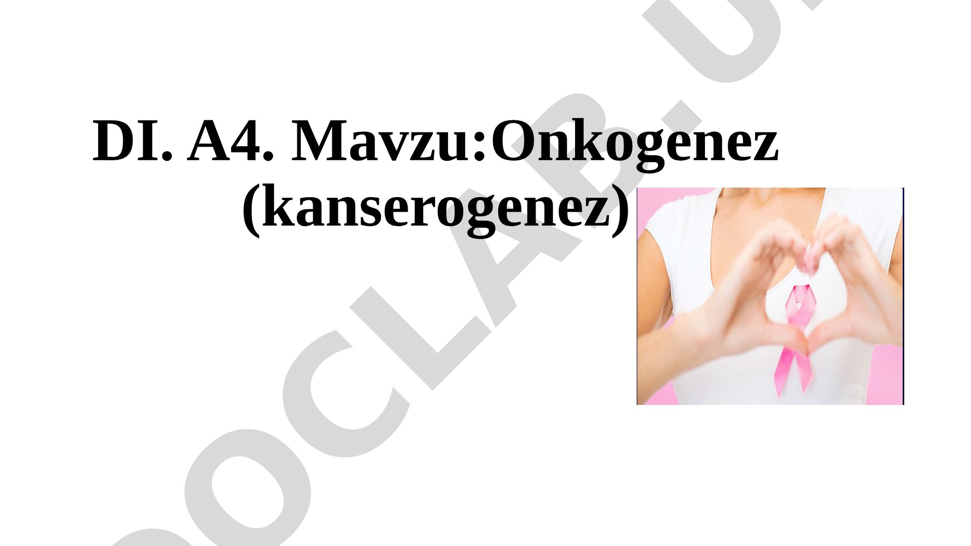 Onkogenez (kanserogenez)