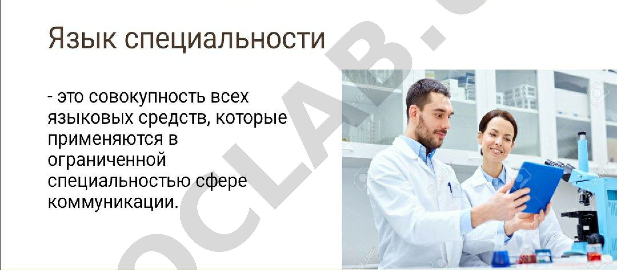 Язык специальности