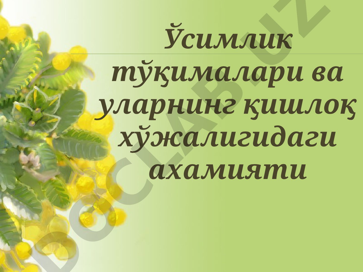 Ўсимлик тўқималари ва уларнинг қишлоқ хўжалигидаги ахамияти