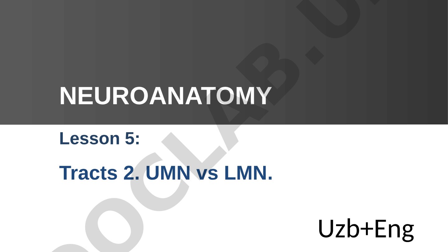 Lesson 5: Tracts 2. UMN vs LMN. Neuroanatomy Uzb+Eng