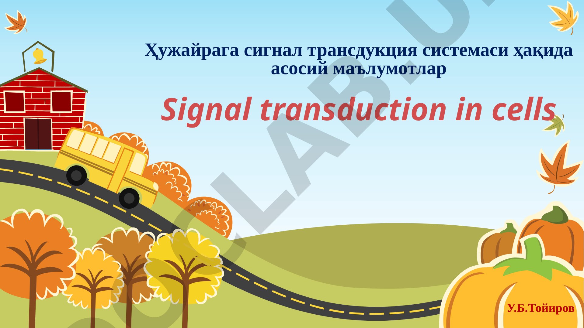 Ҳужайрага сигнал трансдукция системаси ҳақида асосий маълумотлар