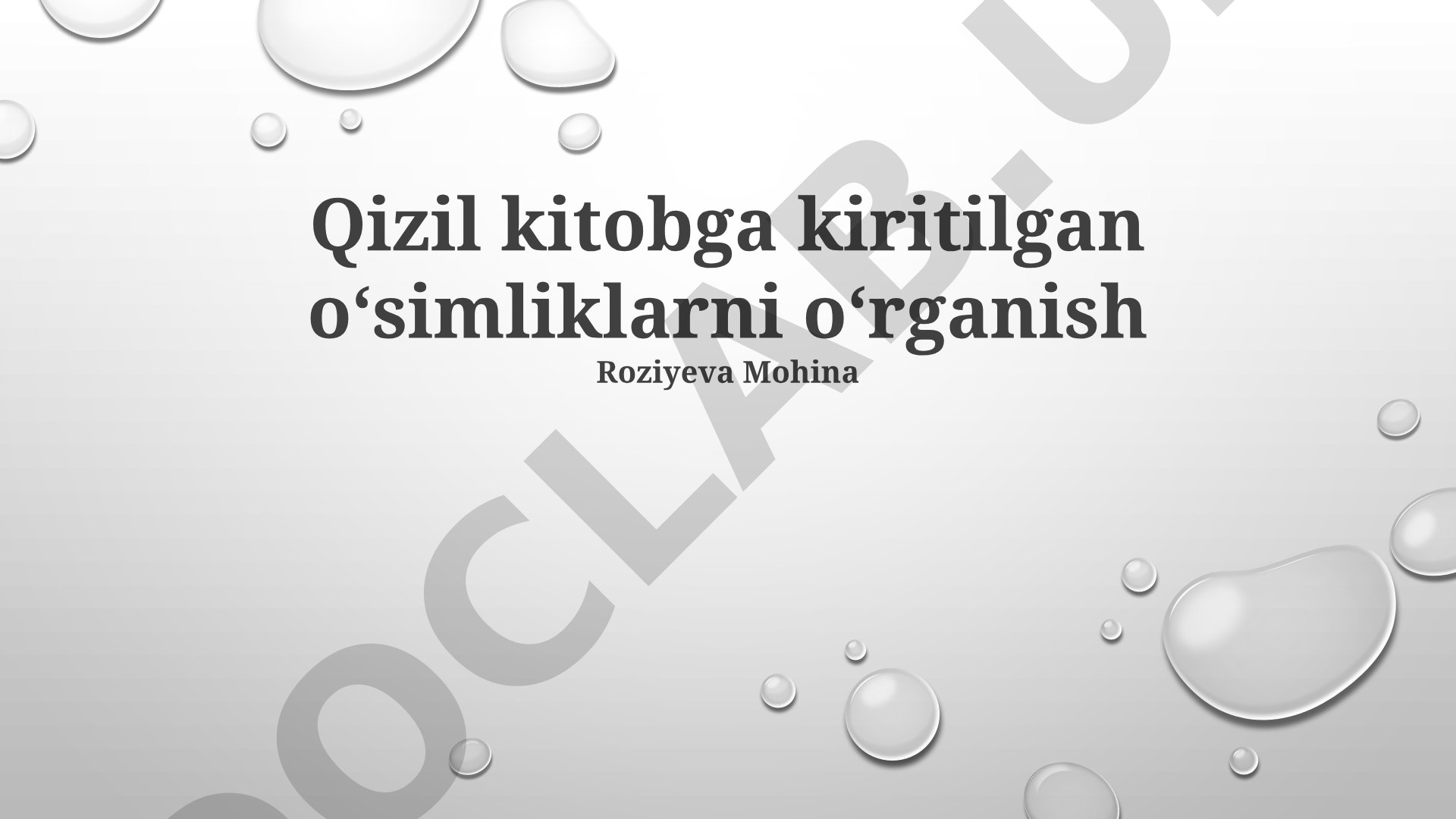 Qizil kitobga kiritilgan o‘simliklarni o‘rganish