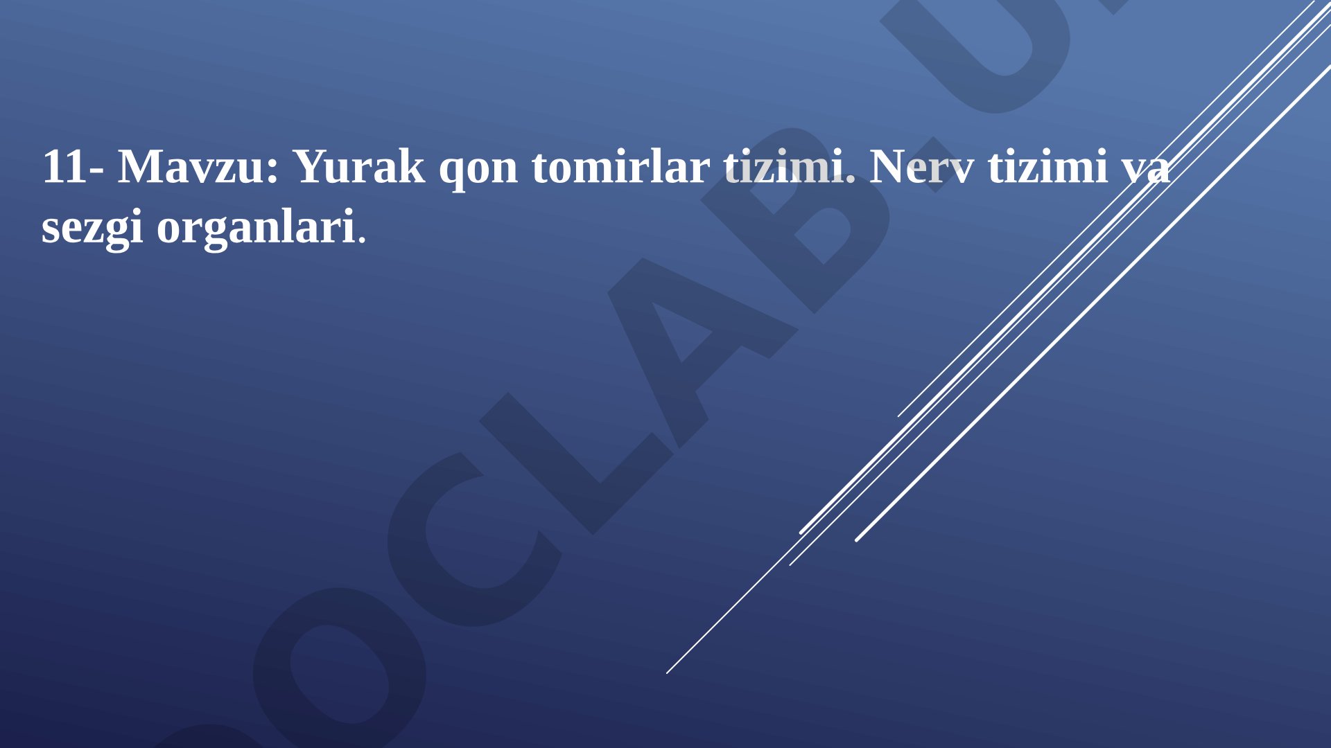 Yurak qon tomirlar tizimi. Nerv tizimi va sezgi organlari
