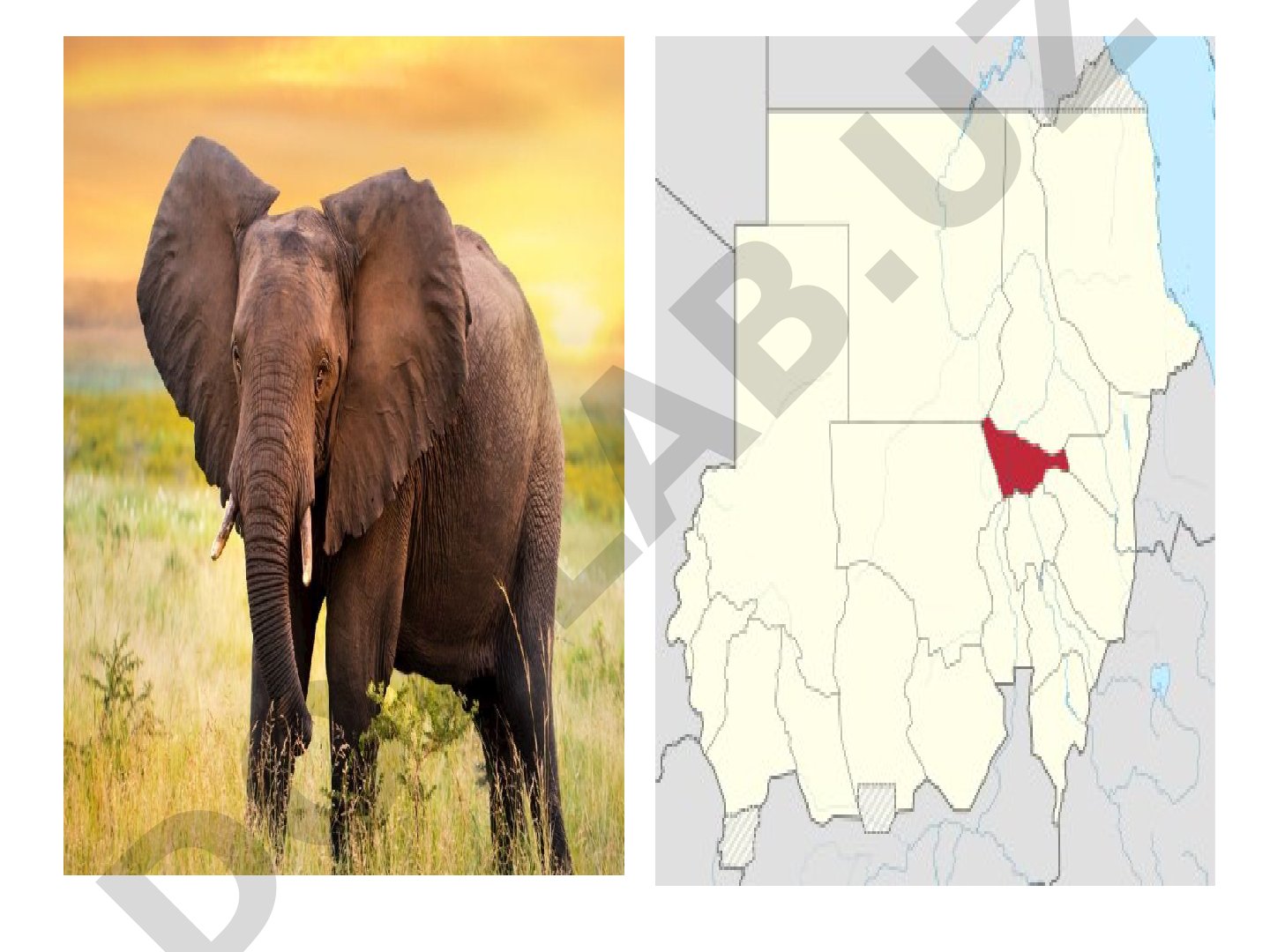 Afrika mamlakatlari geografiyasi