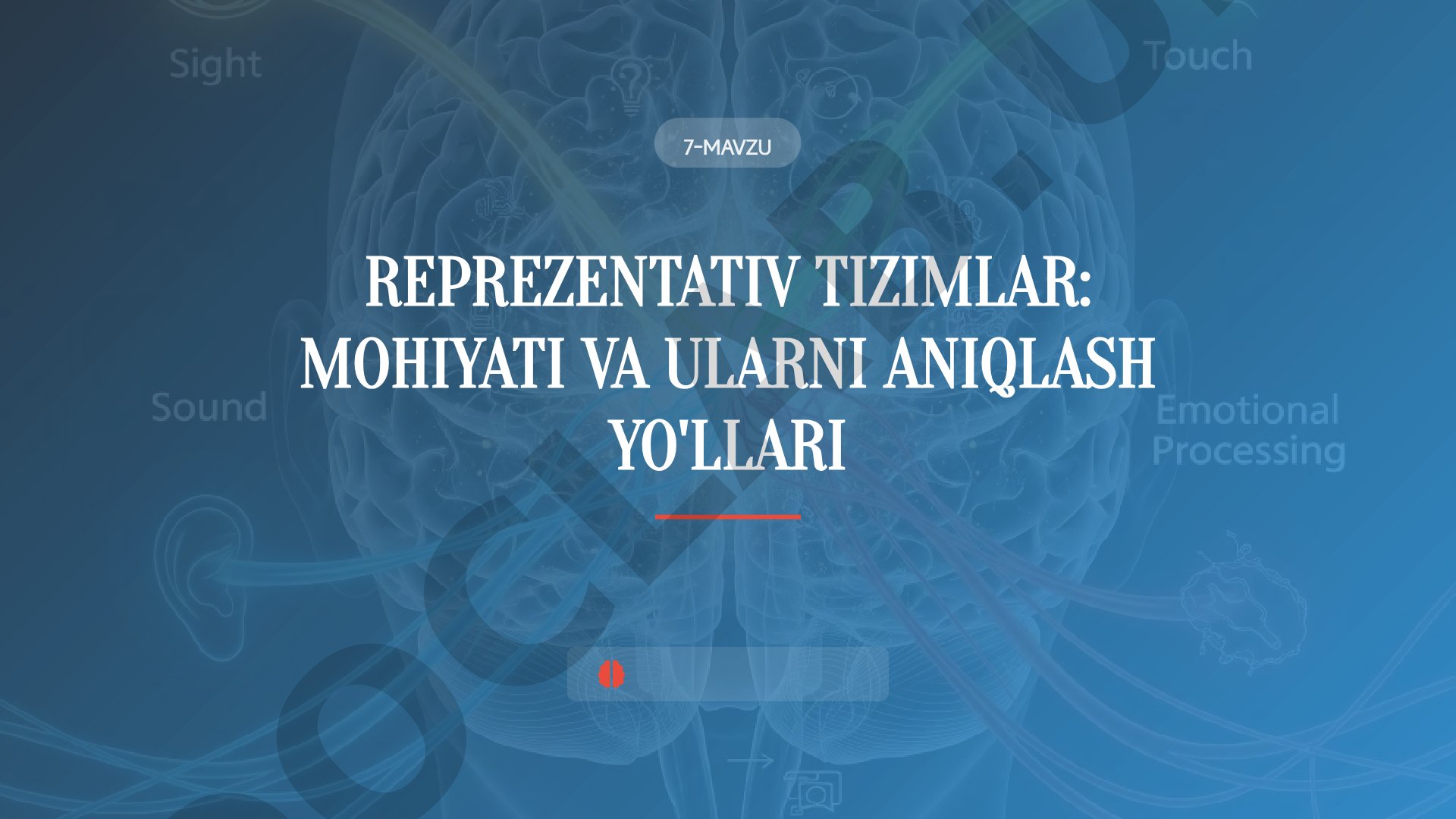 Reprezentativ tizimlar: mohiyati va ularni aniqlash yo'llari