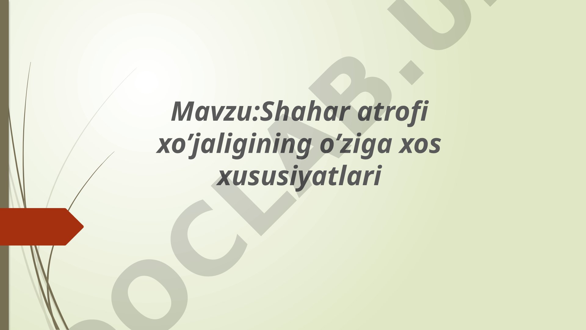 Shahar atrofi xo’jaligining o’ziga xos xususiyatlari