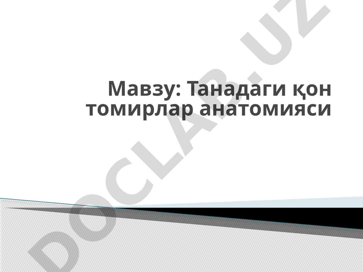 Танадаги қон томирлар анатомияси