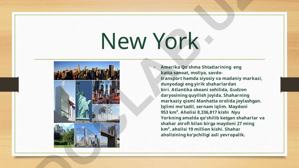 New York shahrining geografiyasi, demografiyasi va ramzlari