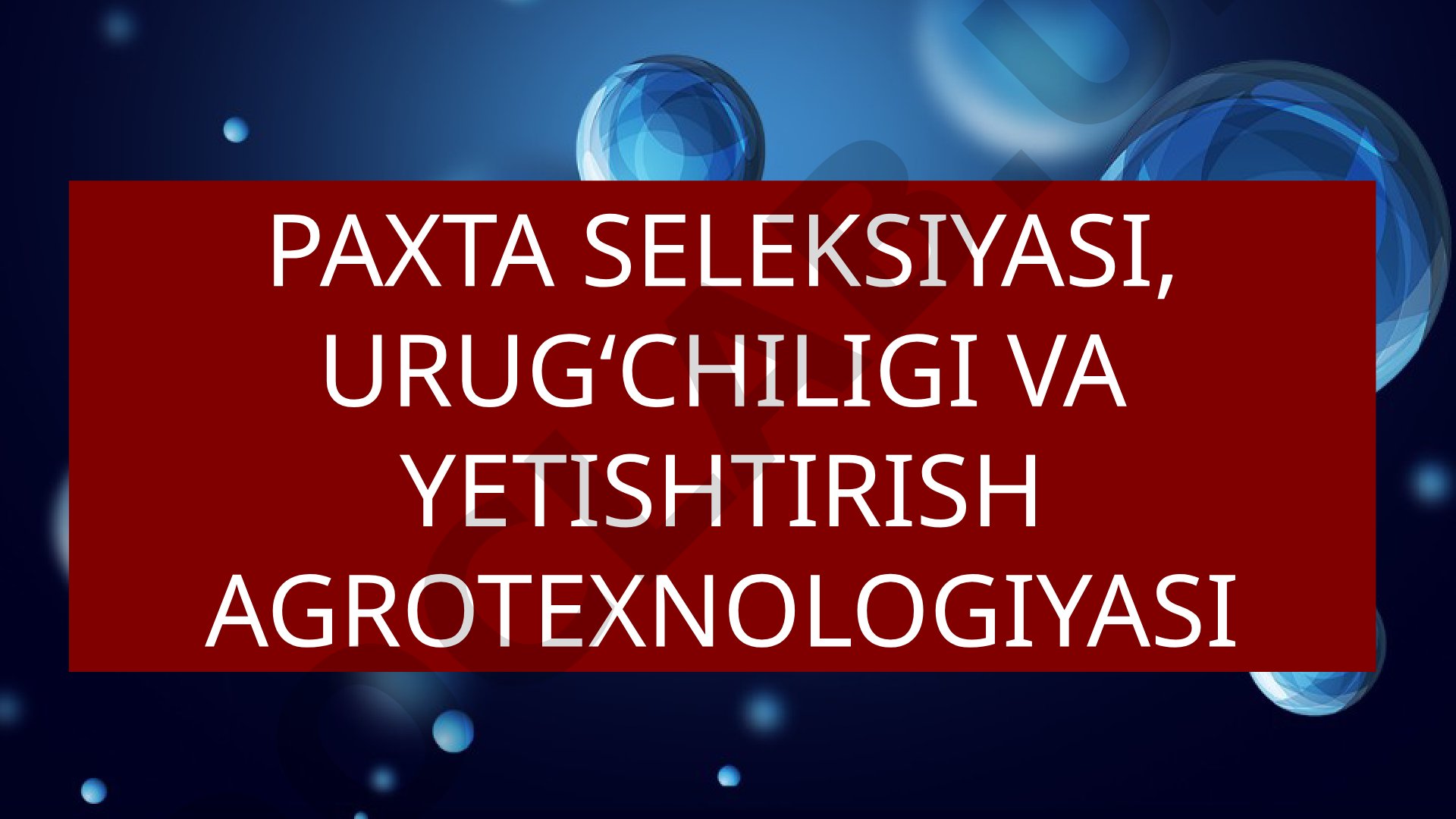 Paxta seleksiyasi, urug‘chiligi va yetishtirish agrotexnologiyasi