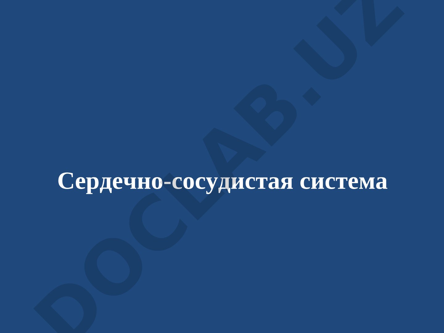 Сердечно-сосудистая система