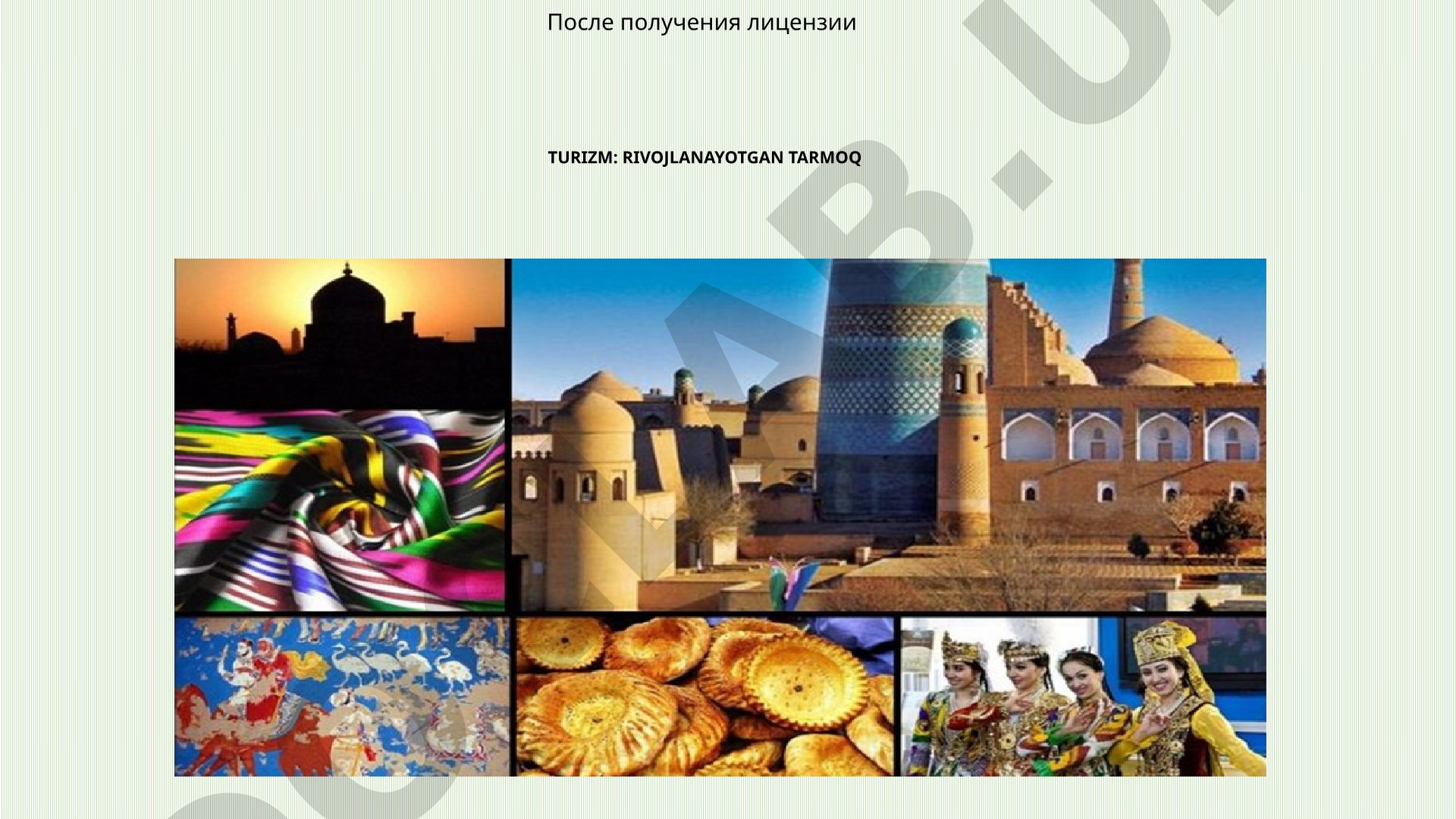 Turizm: rivojlanayotgan tarmoq