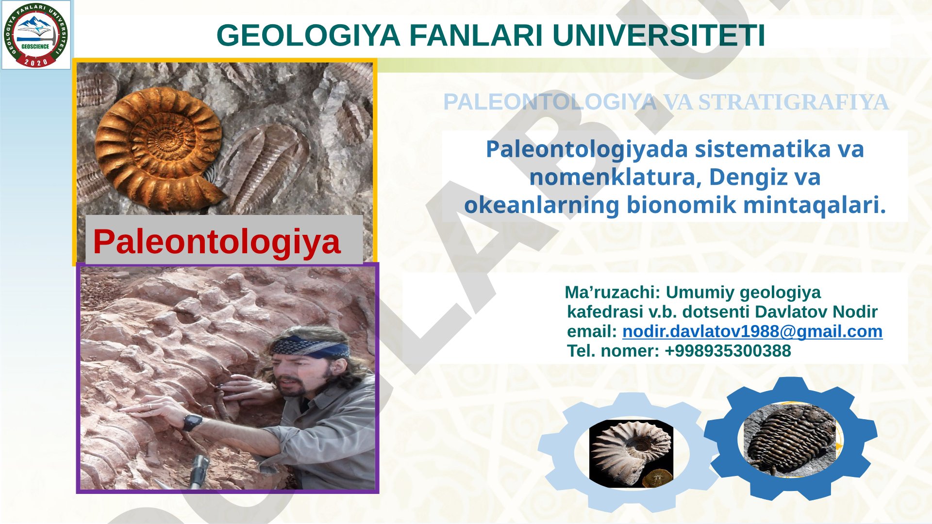 Paleontologiya va stratigrafiya: sistematika, nomenklatura, dengiz va okeanlarning bionomik mintaqalari
