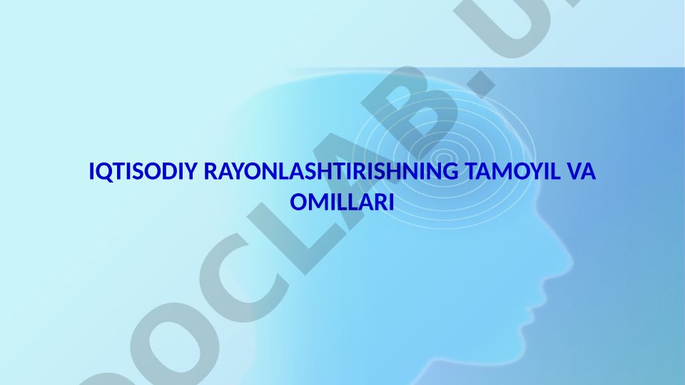 Iqtisodiy rayonlashtirishning tamoyil va omillari