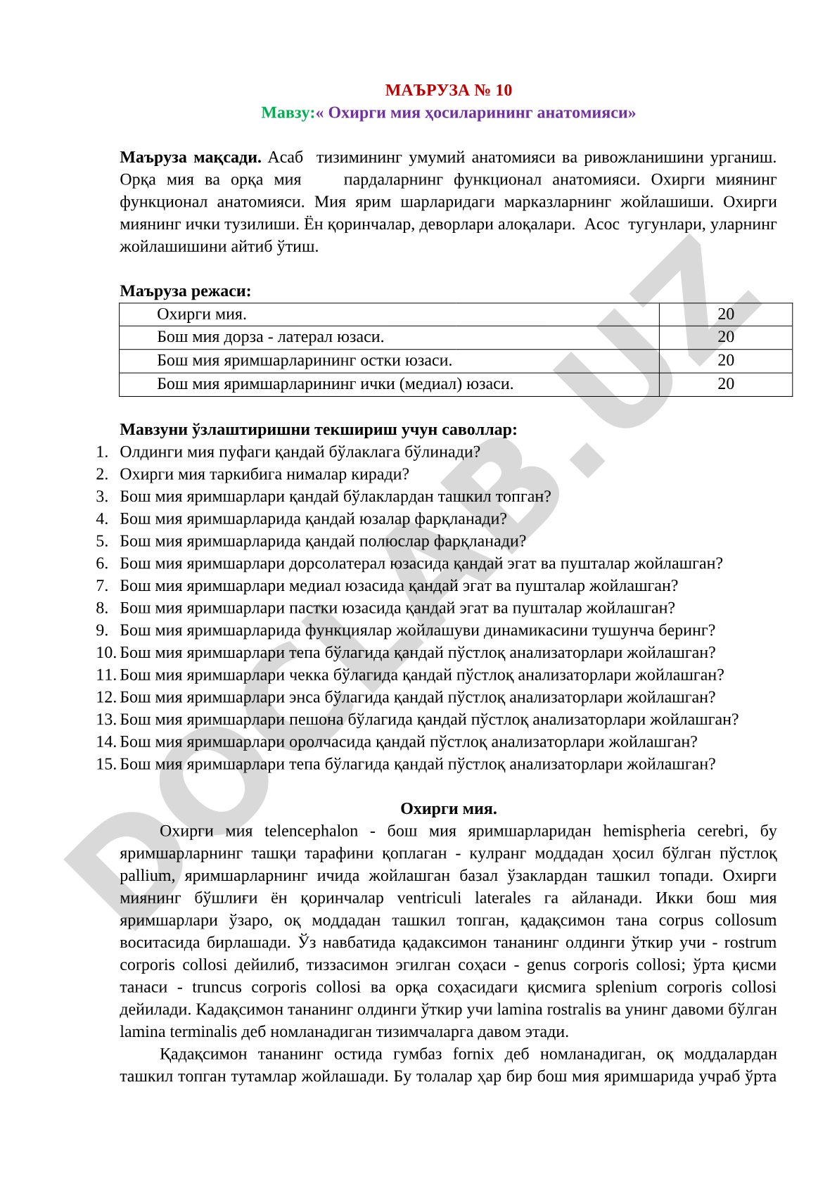Охирги мия ҳосиларининг анатомияси