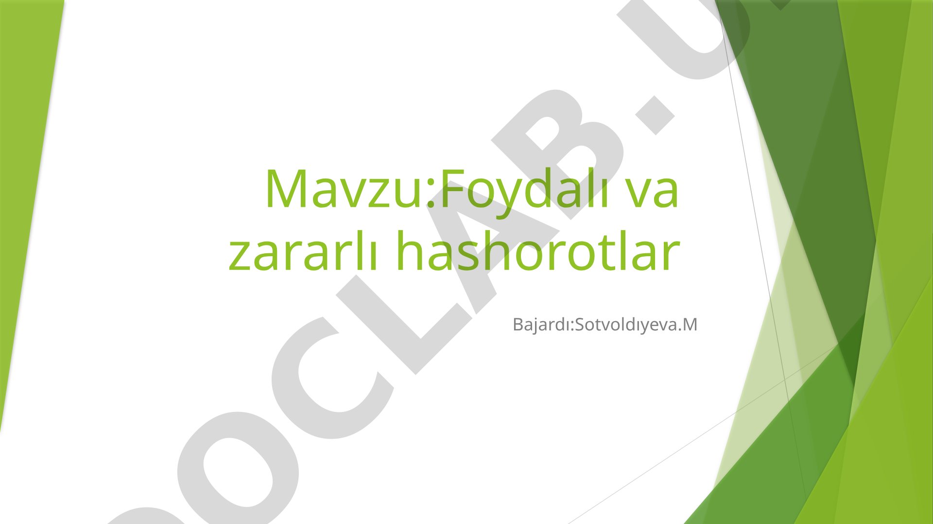 Foydali va zararli hashorotlar
