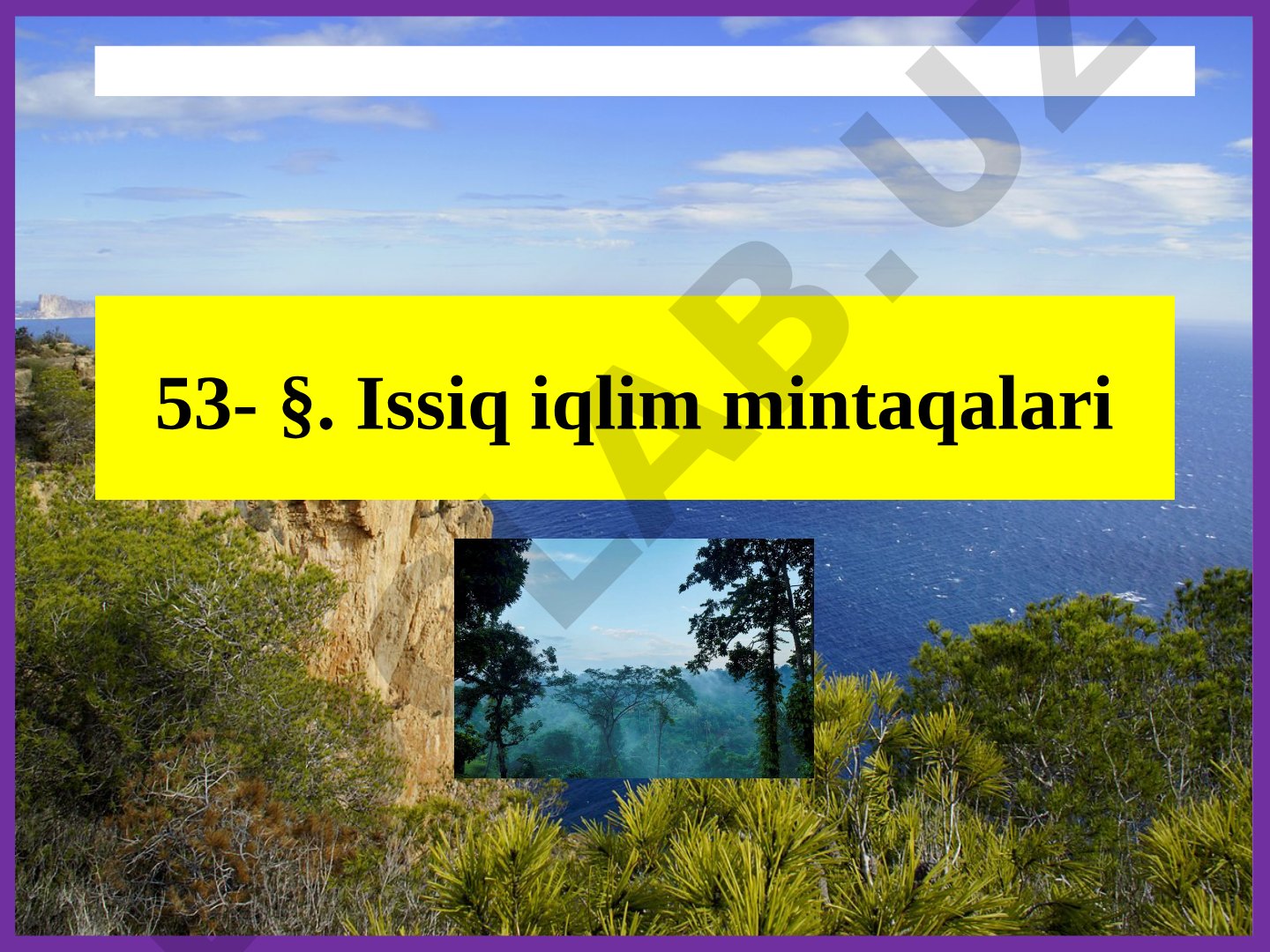 Issiq iqlim mintaqalari