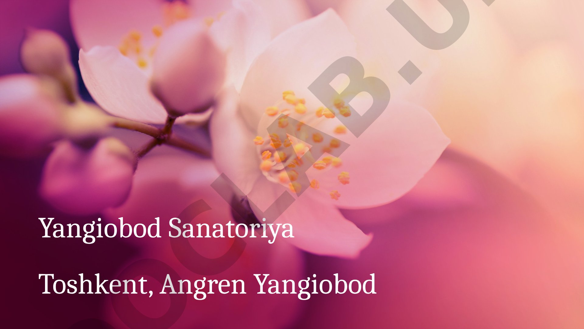 Yangiobod Sanatoriyasi – davolash va dam olish maskani