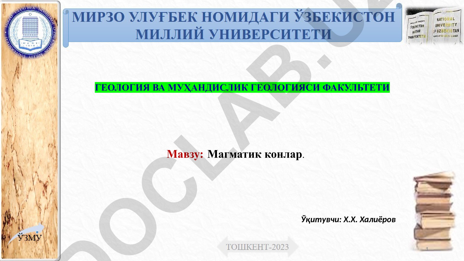 Магматик конлар