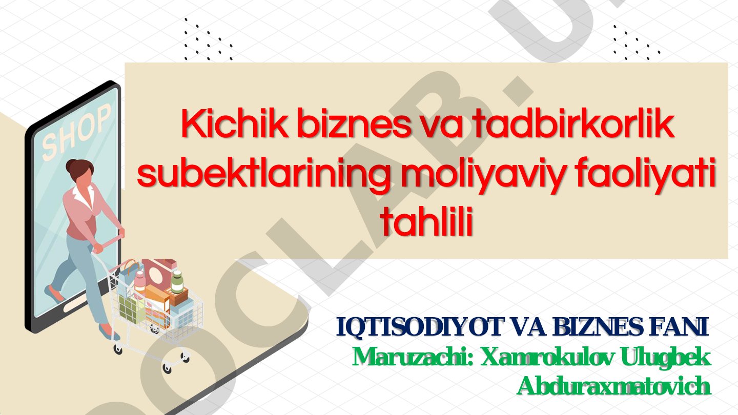 Kichik biznes va tadbirkorlik subektlarining moliyaviy faoliyati tahlili