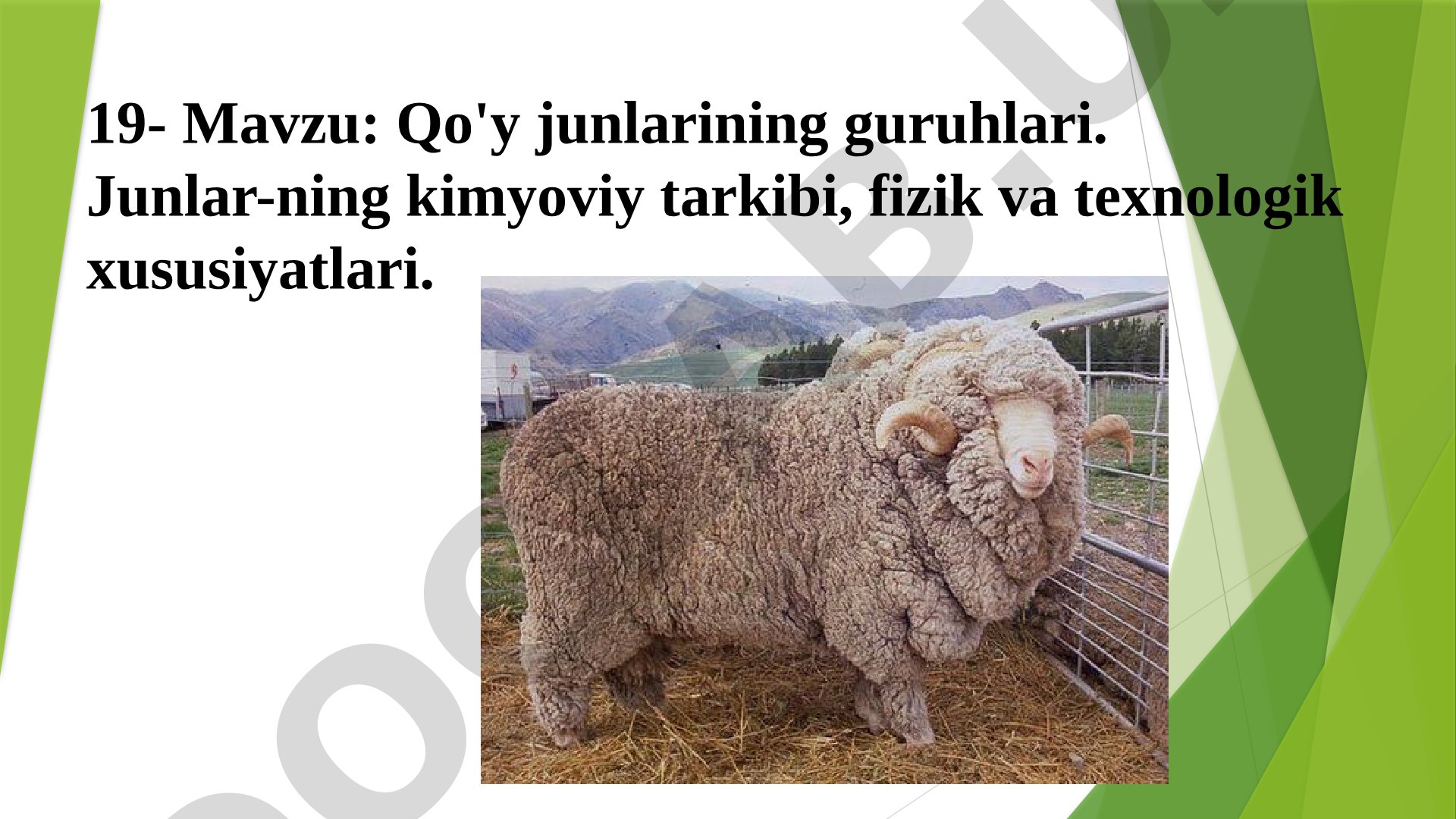Qo'y junlarining guruhlari. Junlarning kimyoviy tarkibi, fizik va texnologik xususiyatlari