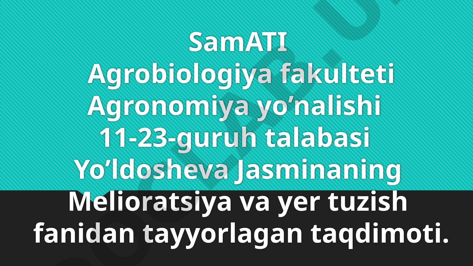 Sho’rlangan yerlarda asosiy sho’ri yuvib bo’lingandan keyin ekiladigan dastlabki o’zlashtirish ekinlarini yetishtirish texnologiyalari