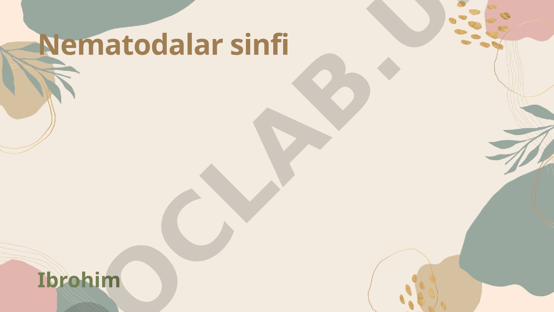 Nematodalar sinfining umumiy tavsifi va ahamiyati