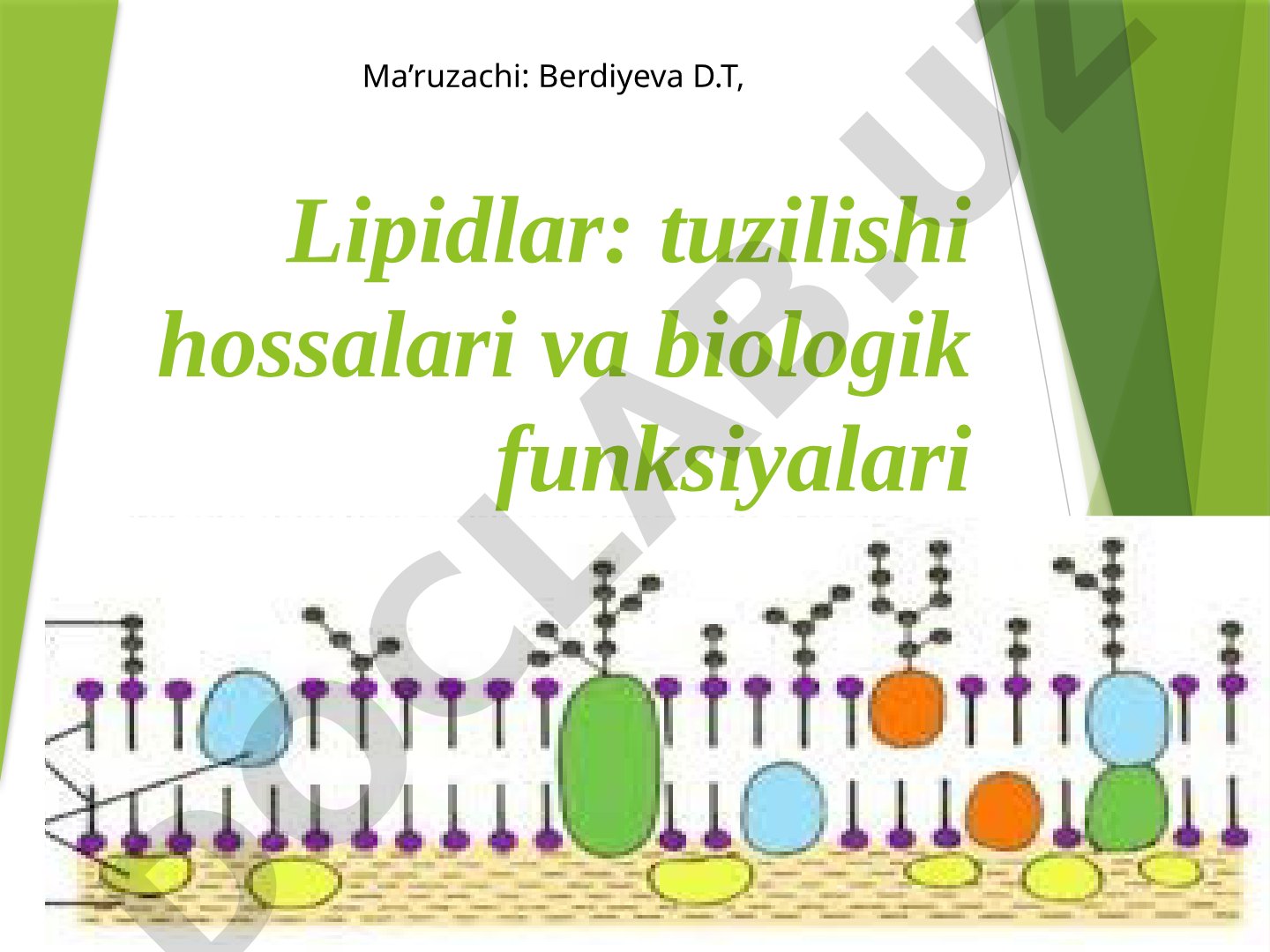Lipidlar: tuzilishi hossalari va biologik funksiyalari