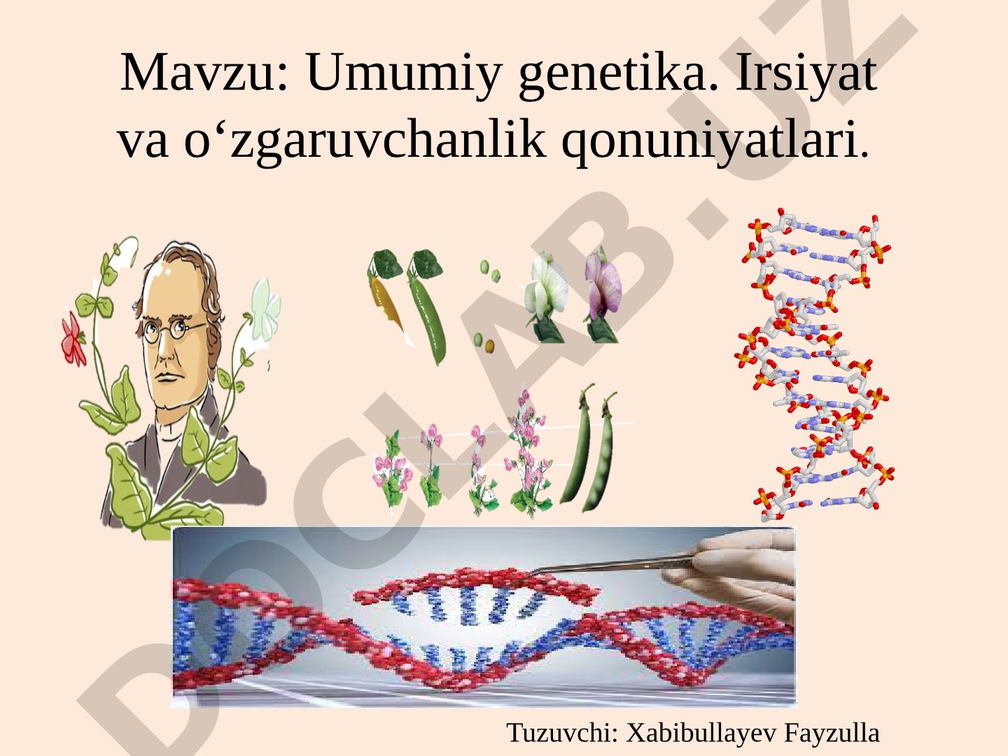Umumiy genetika. Irsiyat va o‘zgaruvchanlik qonuniyatlari