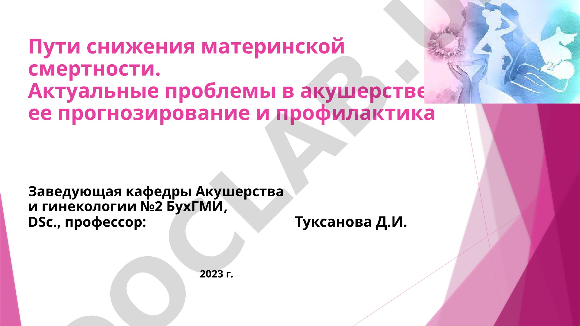 Пути снижения материнской смертности. Актуальные проблемы в акушерстве, ее прогнозирование и профилактика