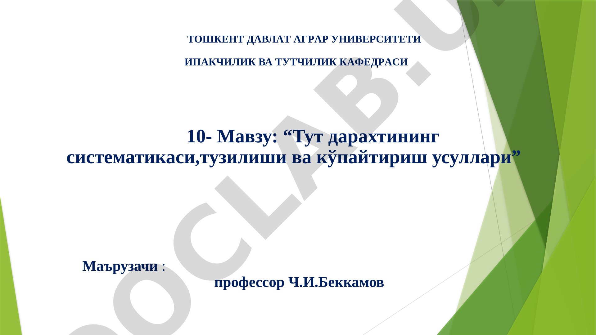 Тут дарахтининг систематикаси, тузилиши ва кўпайтириш усуллари
