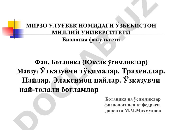 Ўтказувчи тўқималар. Трахеидлар. Найлар. Элаксимон найлар. Ўзказувчи най-толали боғламлар