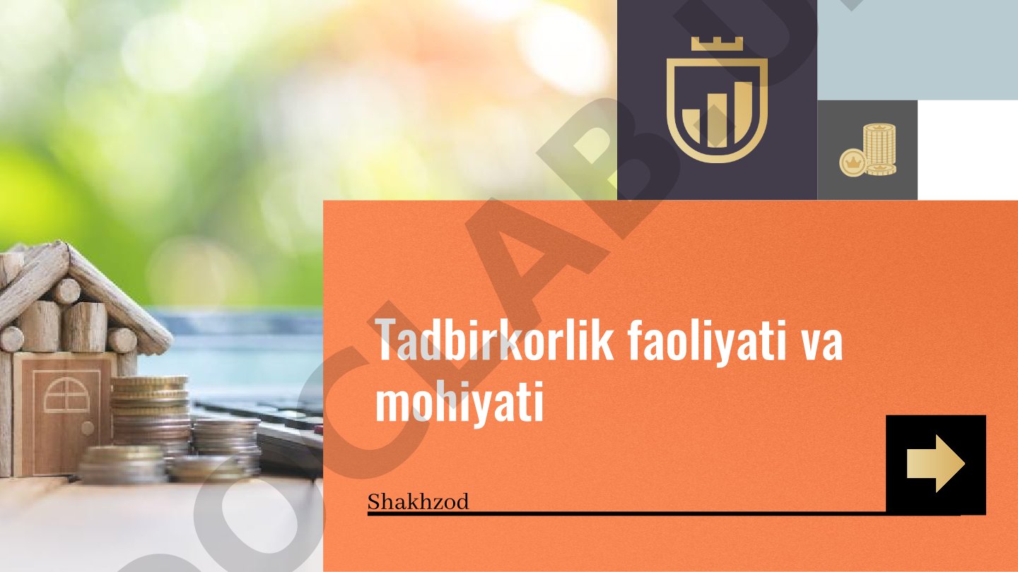 Tadbirkorlik faoliyati va mohiyati