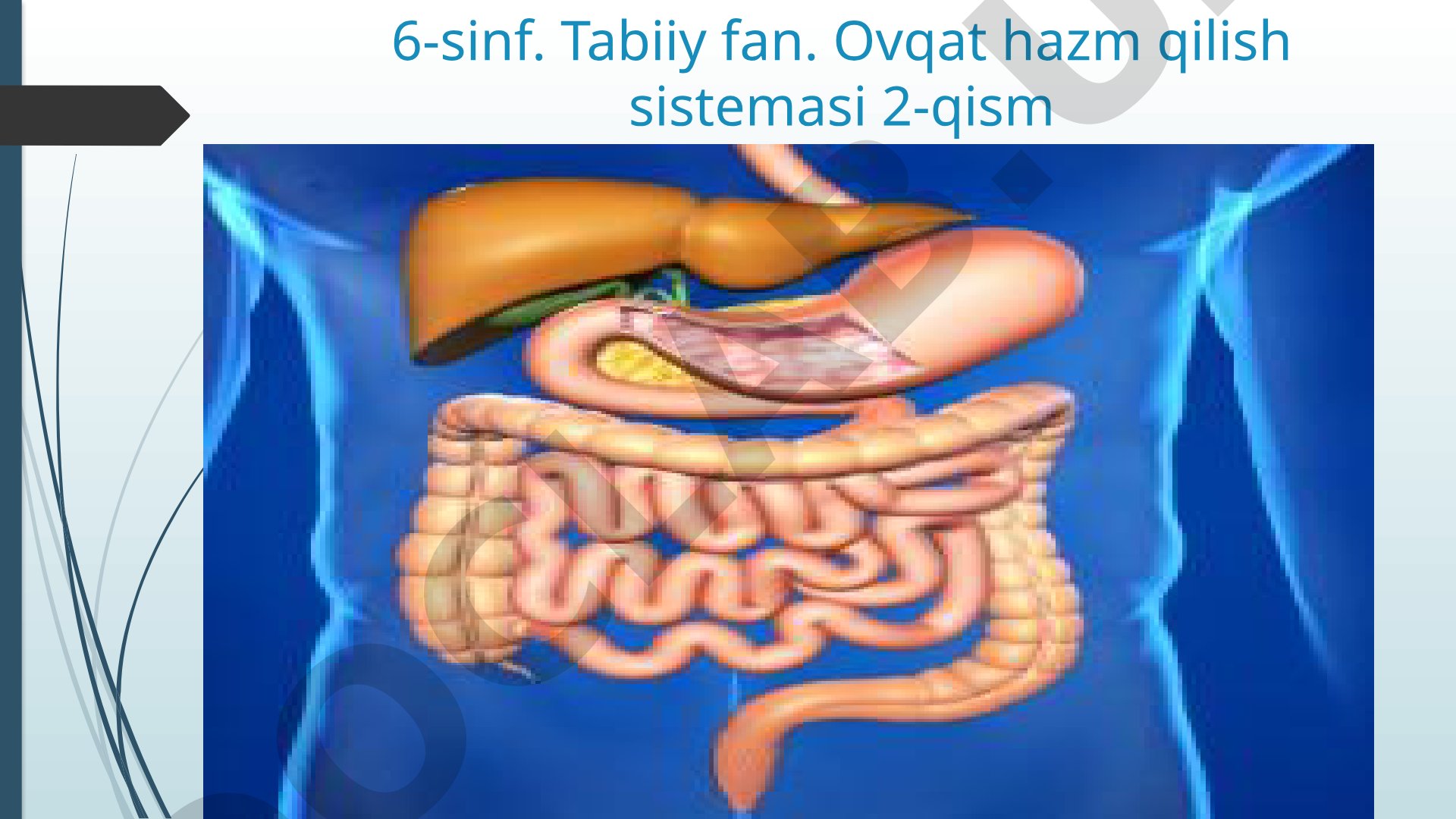 6-sinf. Tabiiy fan. Ovqat hazm qilish sistemasi 2-qism