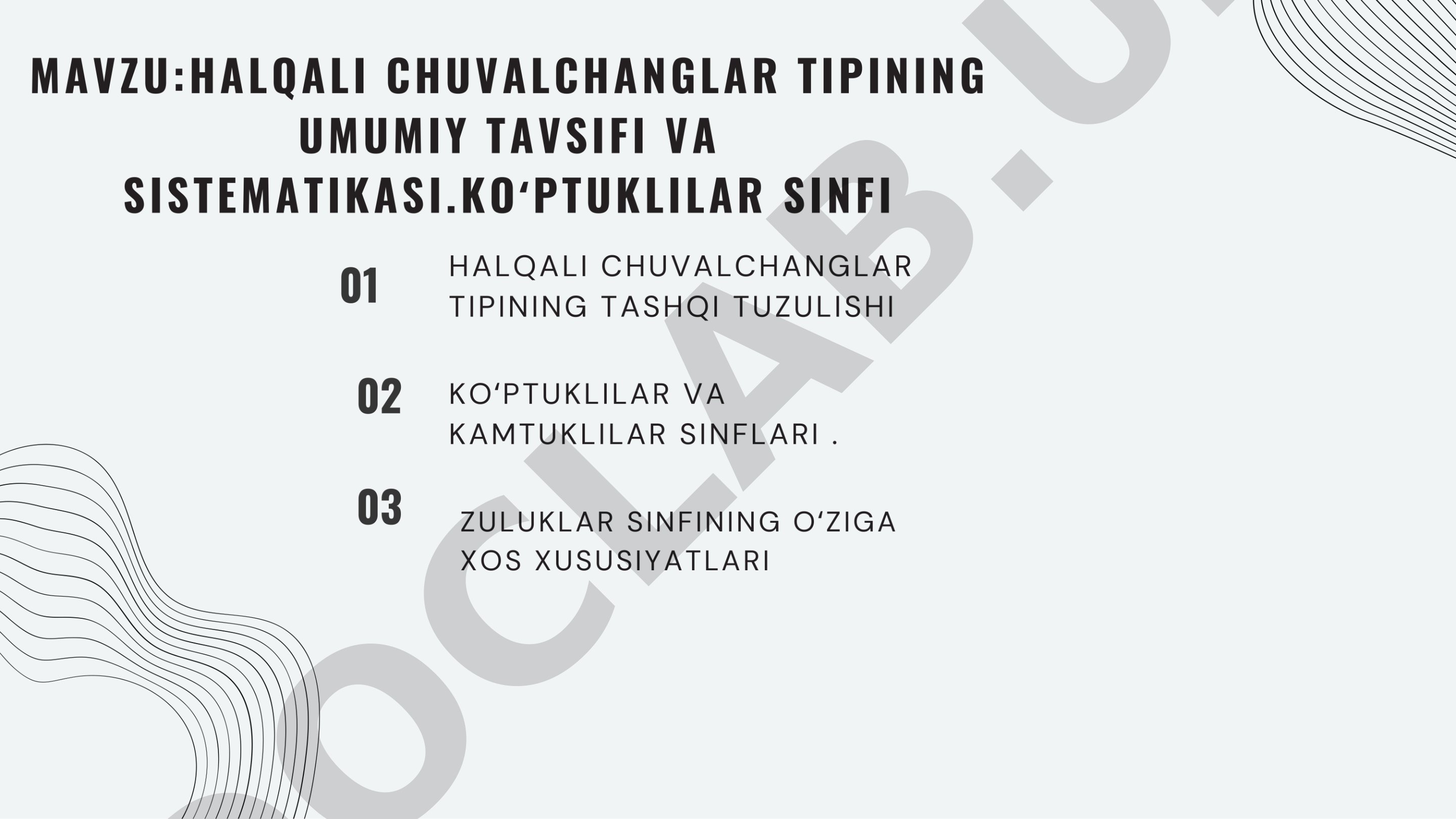 Umurtqasizlar zoologiyasi fanidan tayyorlangan taqdimot