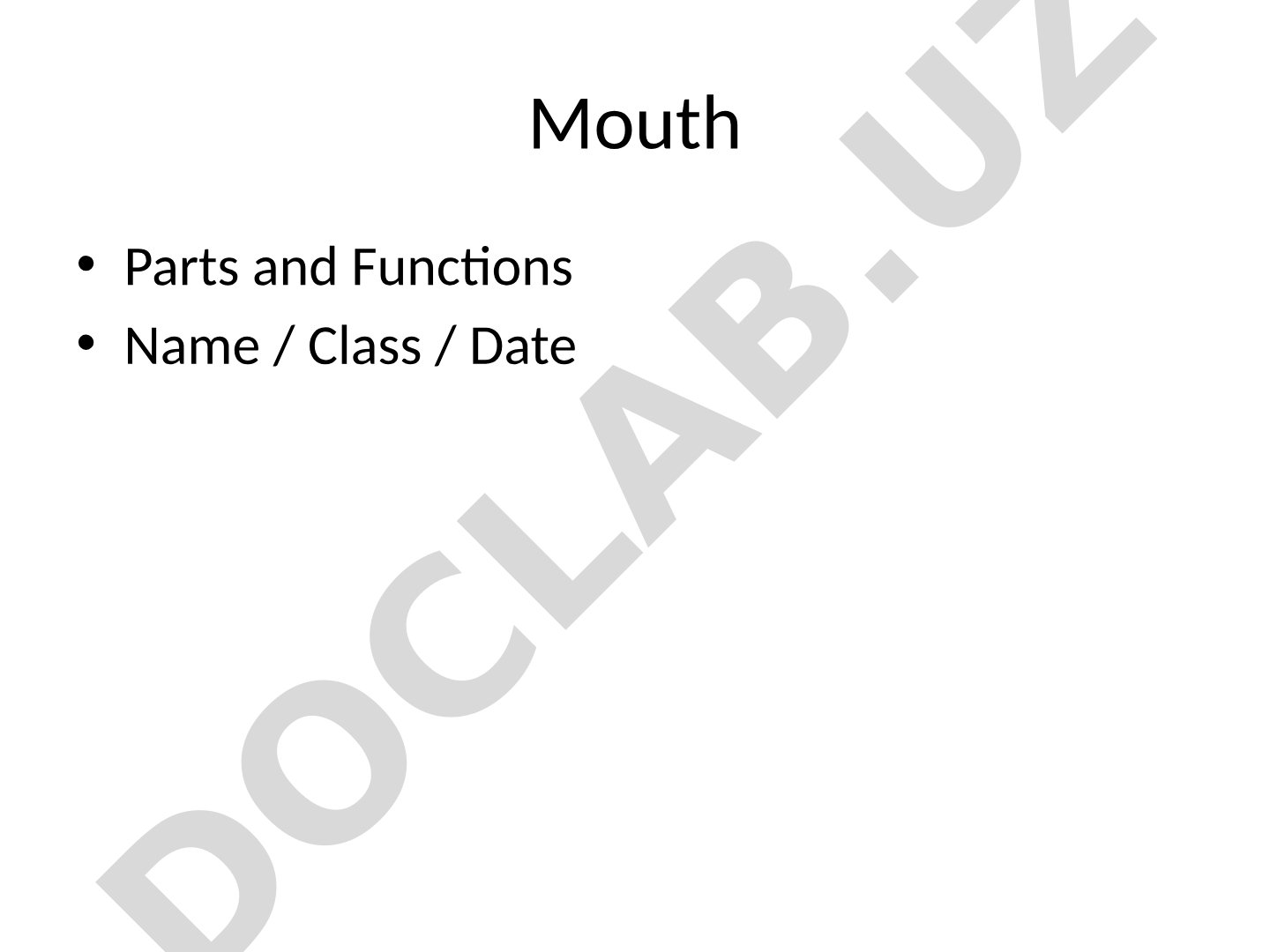 Mouth Parts and Functions