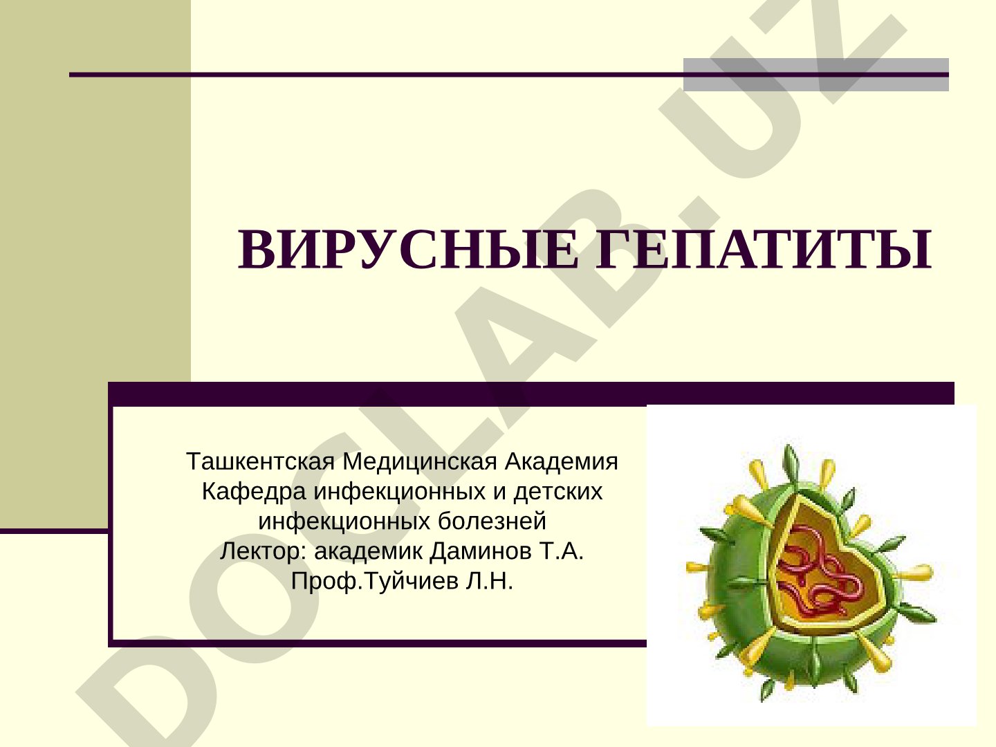 Вирусные гепатиты: характеристика и гепатит В