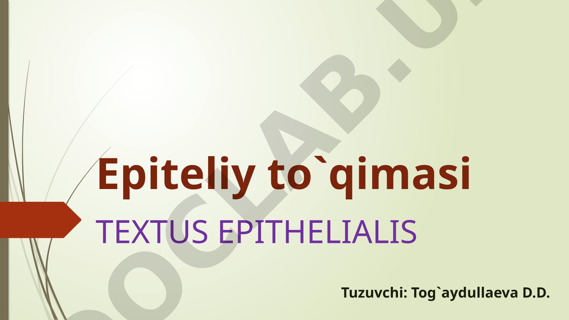 Epiteliy to'qimasi