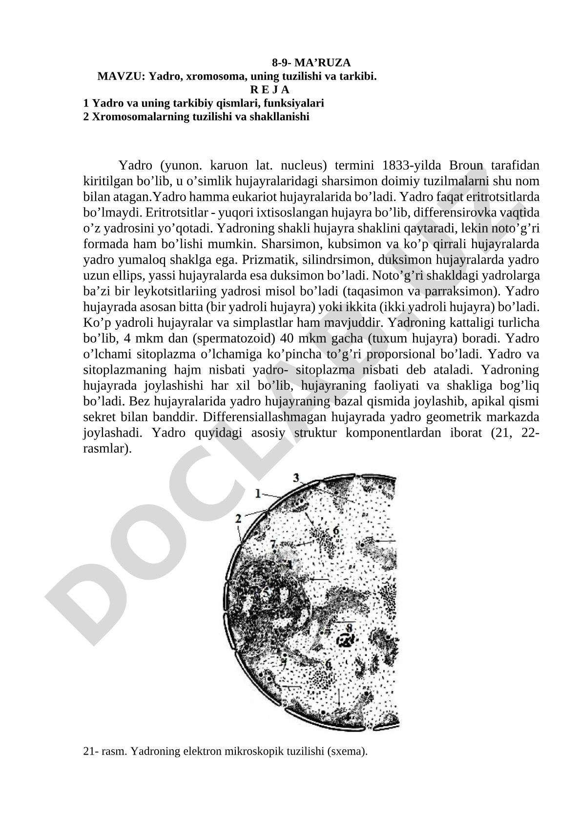 Yadro, xromosoma, uning tuzilishi va tarkibi