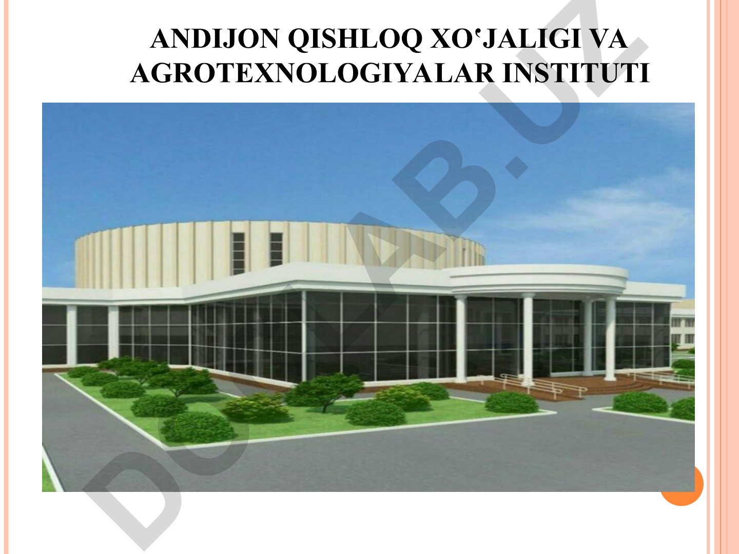 Qizilchadoshlar, Qarag‘aydoshlar va Sarvdoshlar oilalari